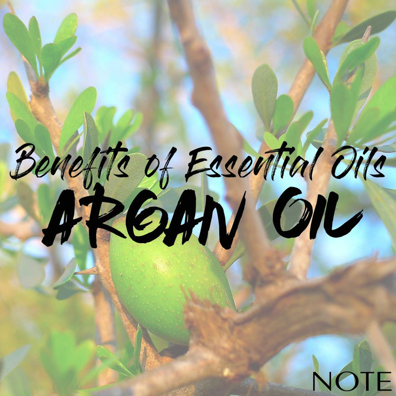 Benefits of Essential Oils - Argan Oil - Note Cosmetics Singapore