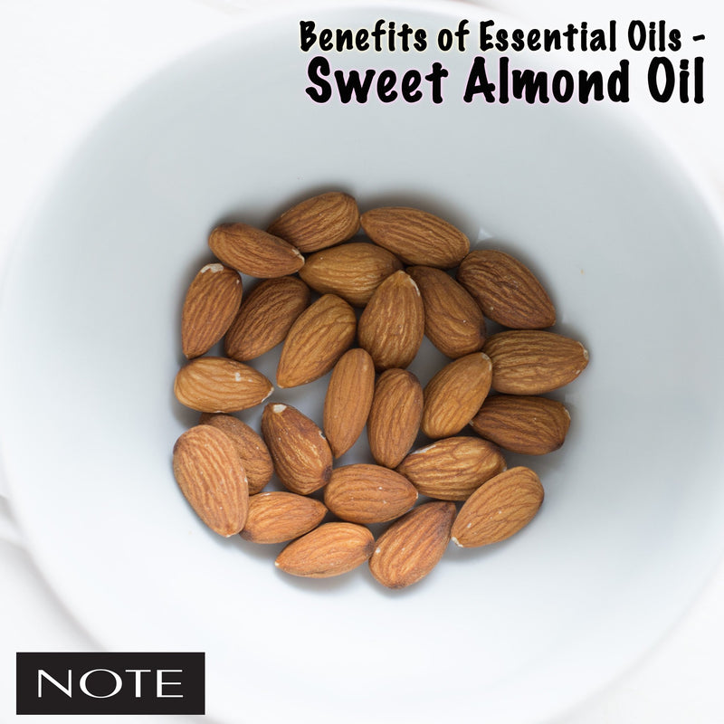 Benefits of Essential Oils - Sweet Almond Oil - Note Cosmetics Singapore