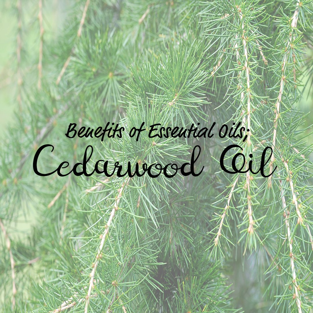 Benefits of Essential Oils - Cedarwood Oil - Note Cosmetics Singapore