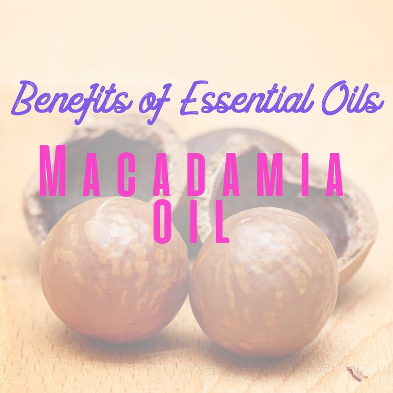 Benefits of Essential Oils - Macadamia Oil - Note Cosmetics Singapore